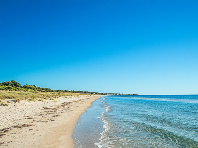 Storm Damage Response Team