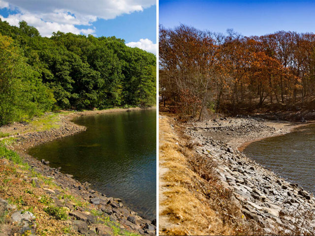 New England Storm Response Company
